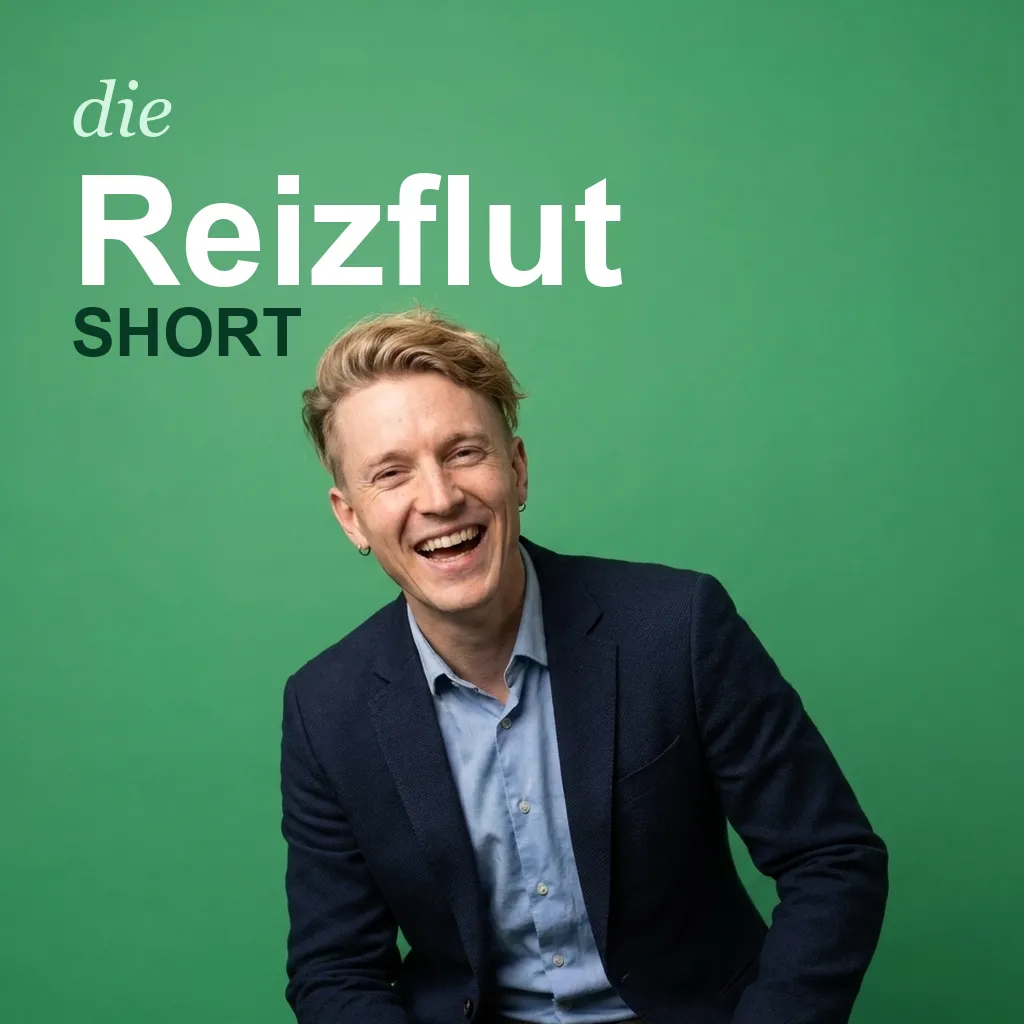 Reizflut